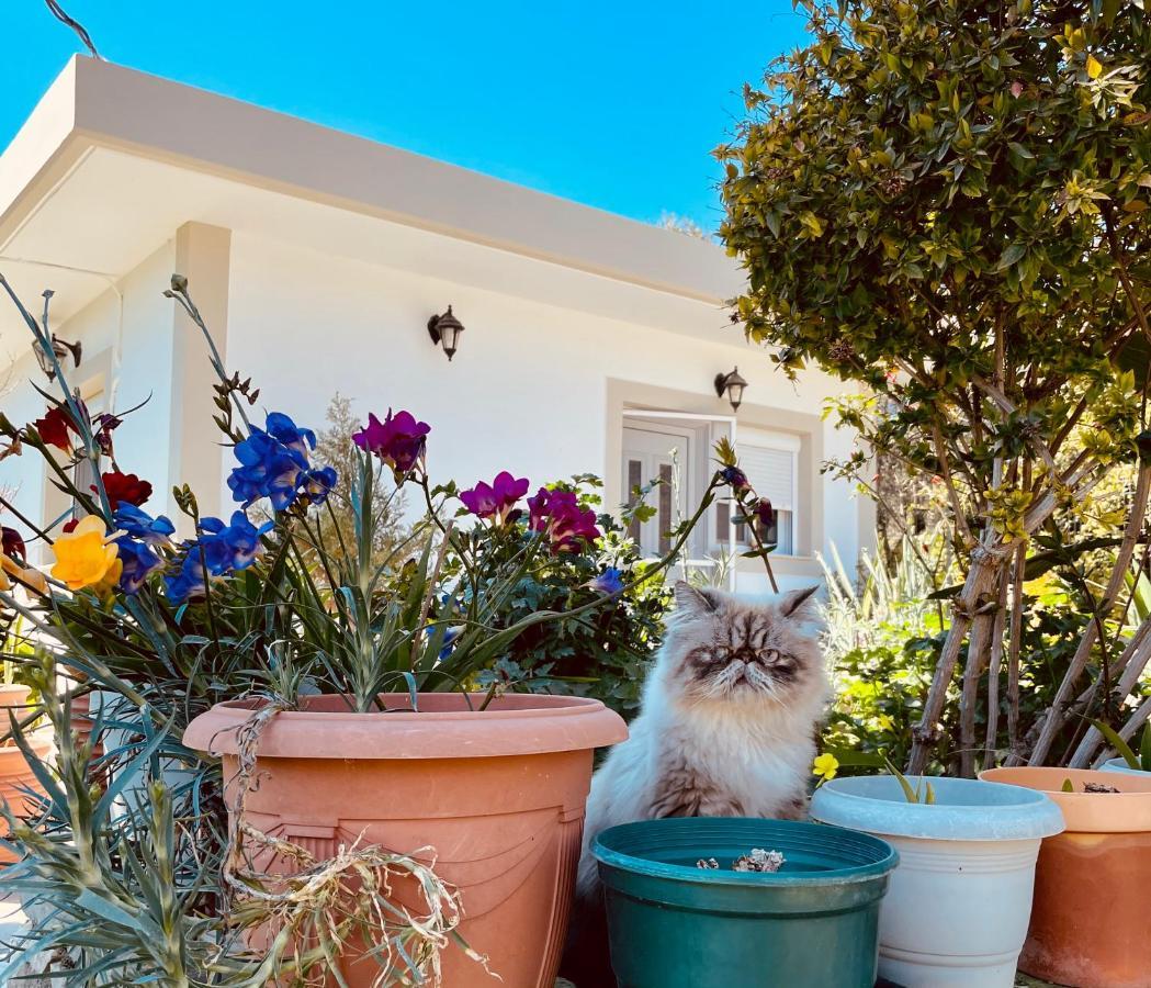 Archangelos Garden House Casa vacanze *