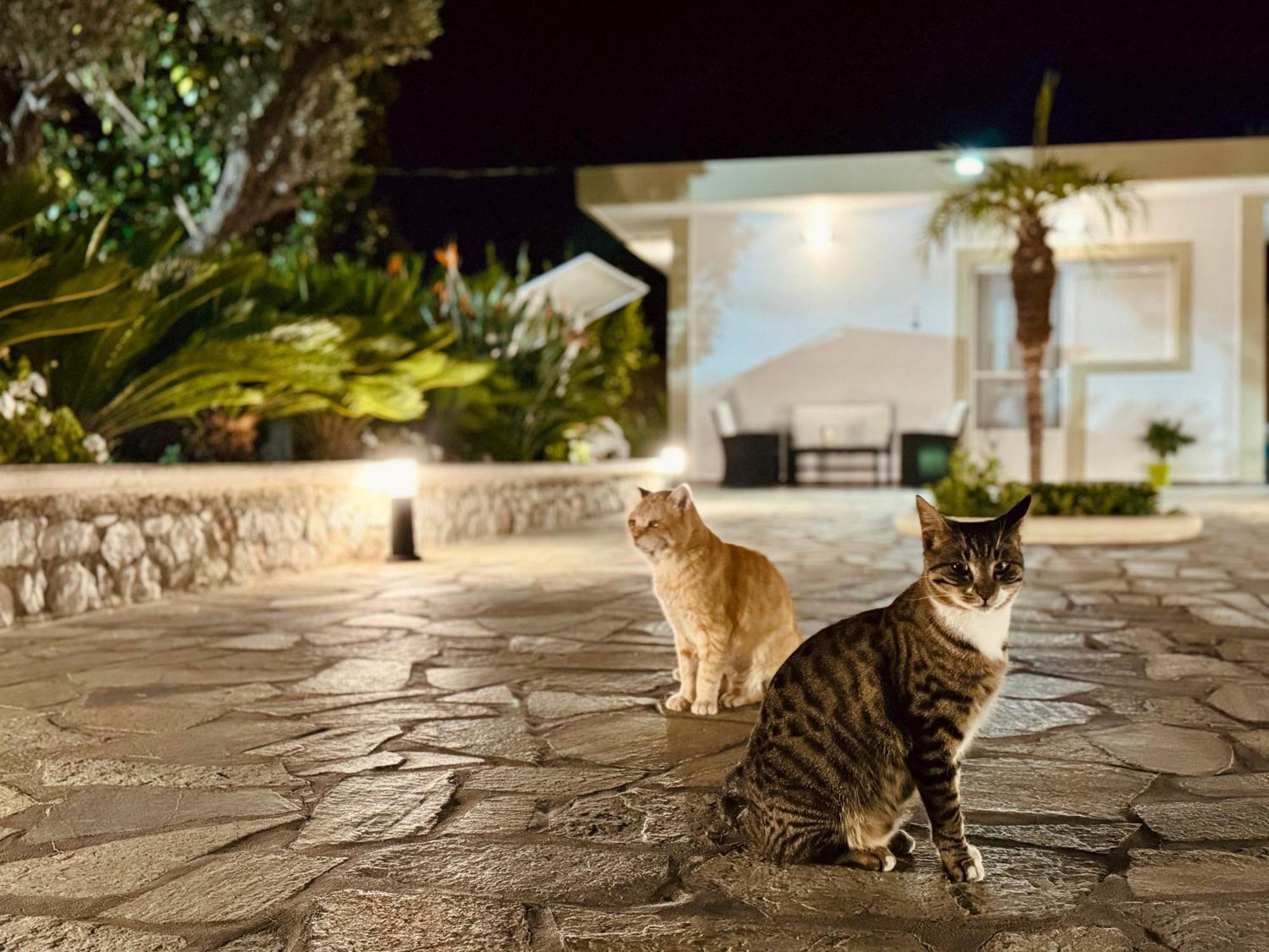 Archangelos Garden House * Archangelos (Rhodes)