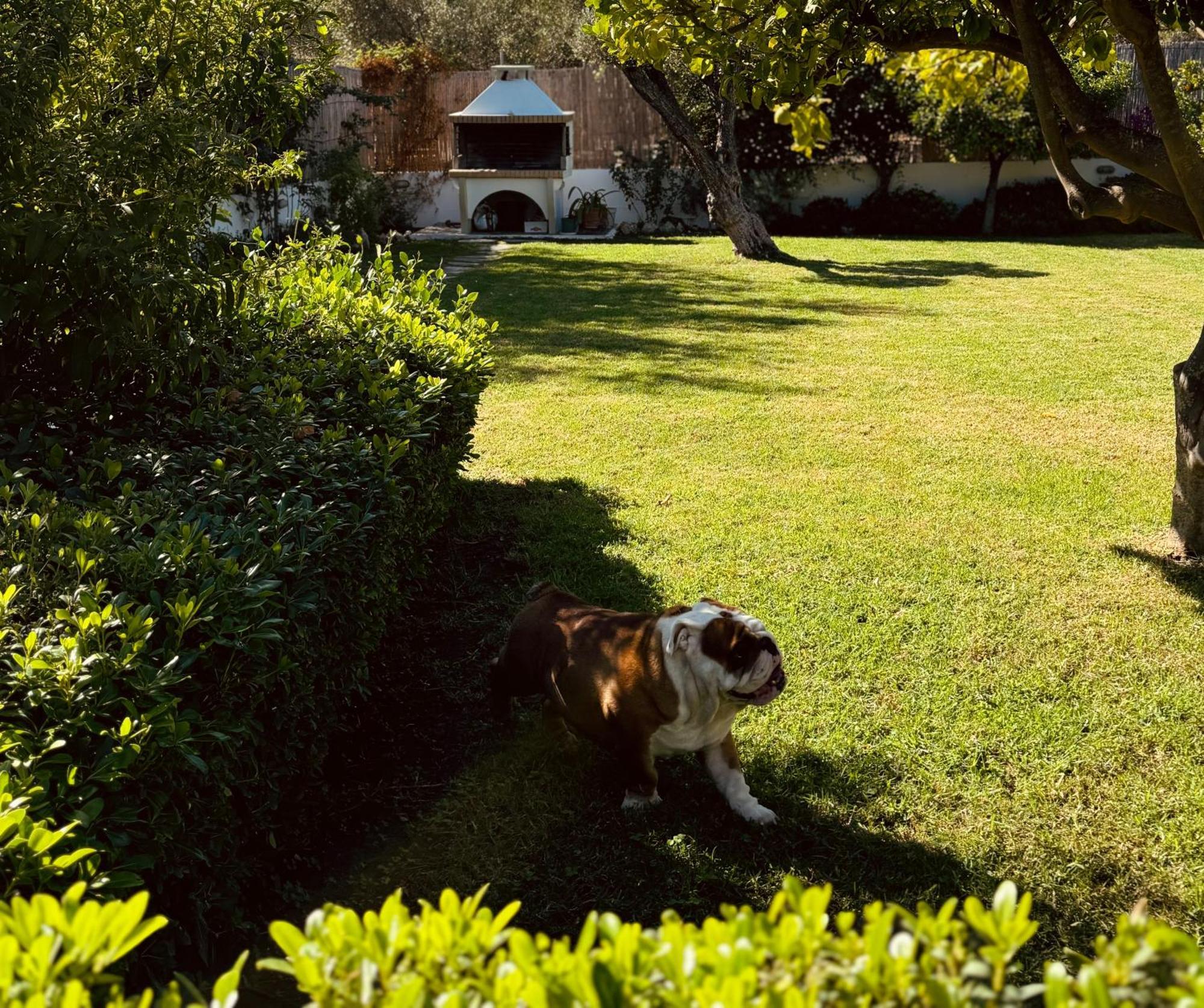 Archangelos Garden House *